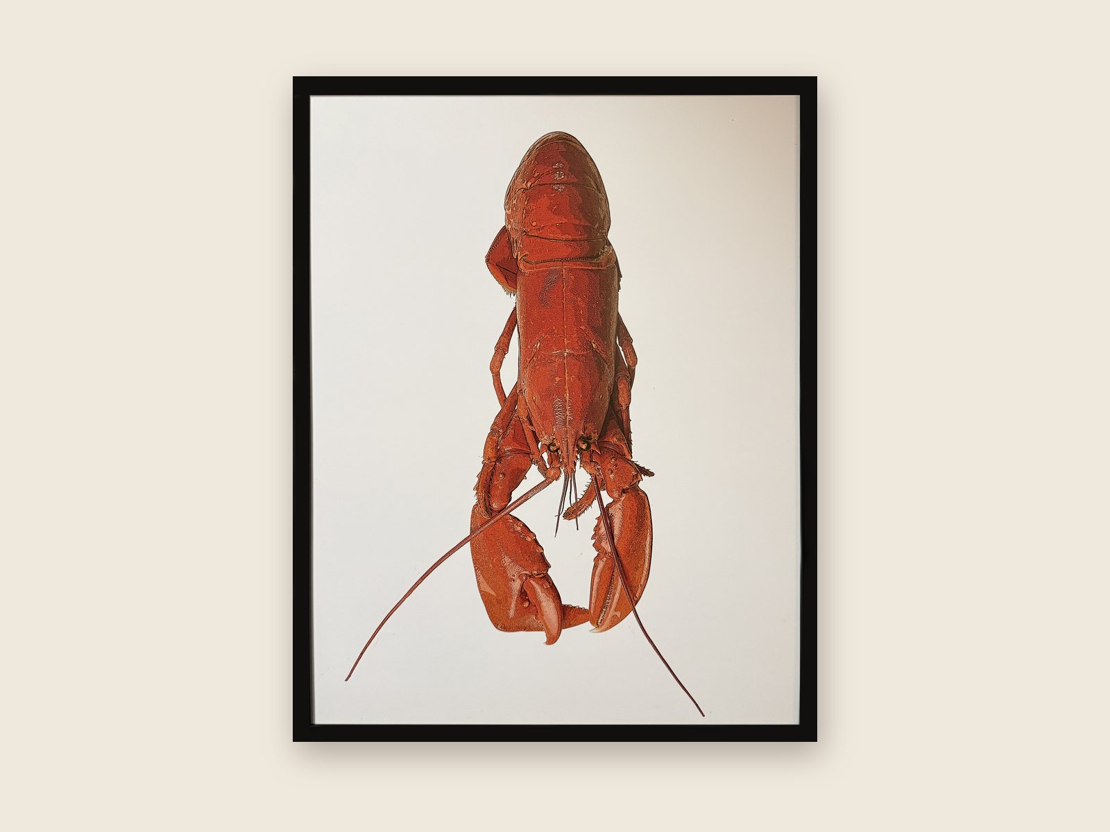Hummer, 70 × 100 cm. Fotografi av Ulf Hinds.